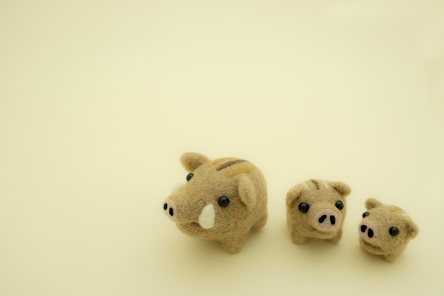 高校普通科のカリキュラムが変わる！？