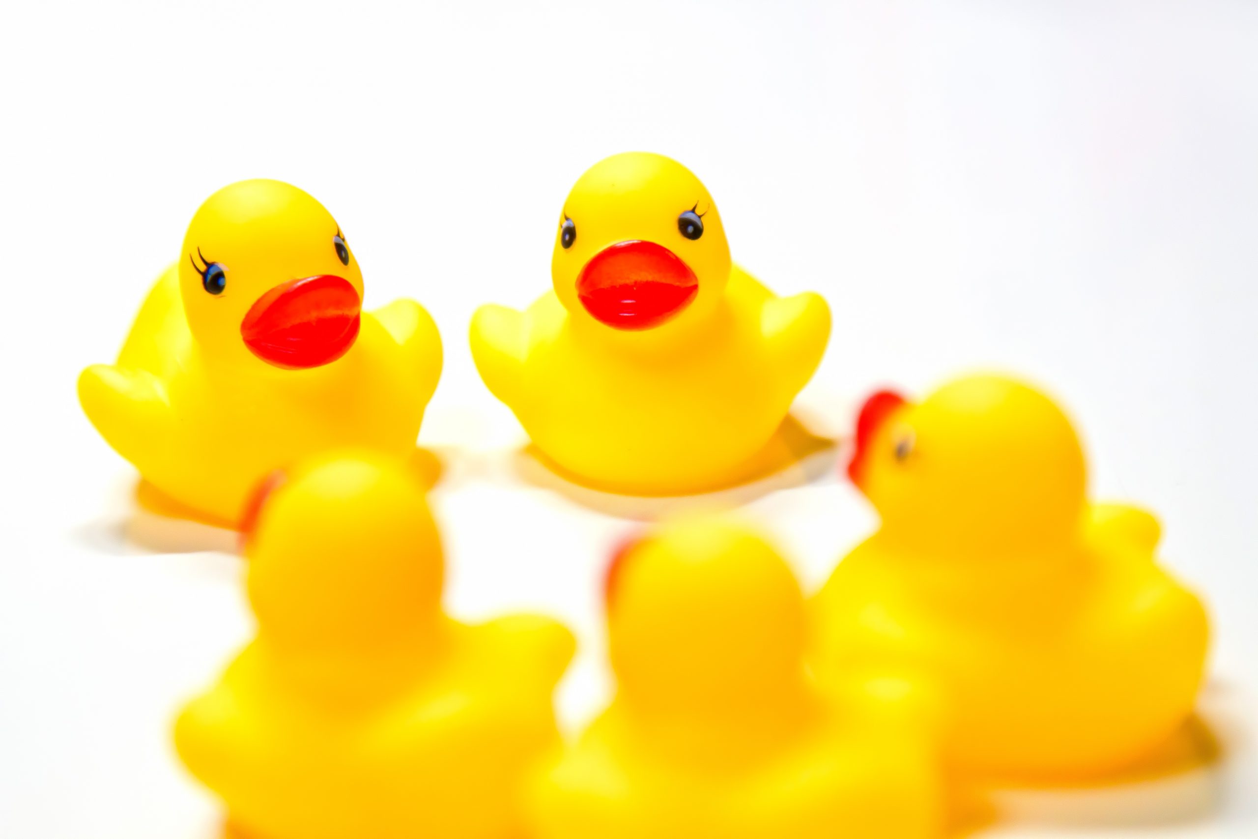 イギリスのEU離脱について一緒に考えました