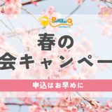 春の入会キャンペーンのお知らせ（ジュニア／リカレント）